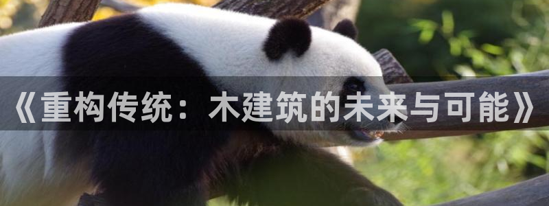 谈球吧官网提款不了