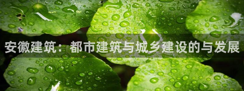 谈球吧官网在线入口免费观看高清：安徽建筑：都市建筑与城乡建设的与发展