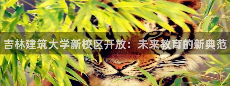 谈球吧平台正规吗可信吗知乎