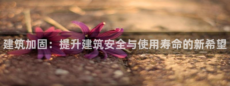 谈球吧体育app下载官网