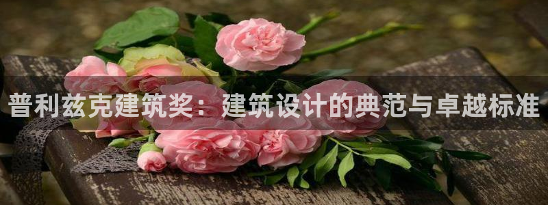 谈球吧是黑台子吗还是白台：普利兹克建筑奖：建筑设计的典范与卓越标准