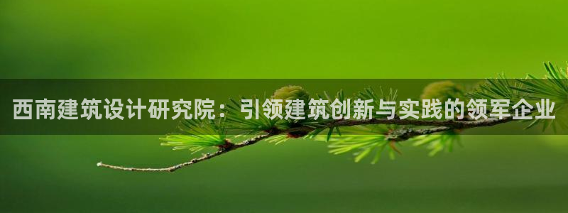 谈球吧官网登录：西南建筑设计研究院：引领建筑创新与实践的领军企业