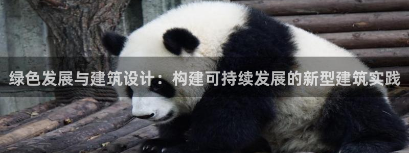 谈球吧-体育赛事