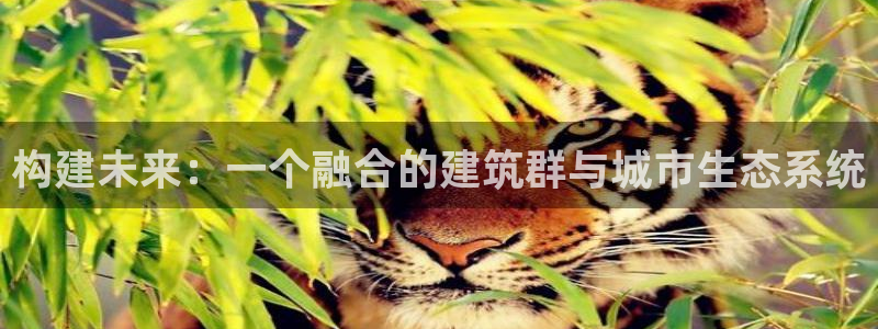 谈球吧是黑台子吗知乎