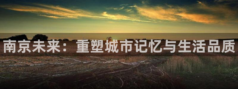 谈球吧官网在线入口手机版免费下载