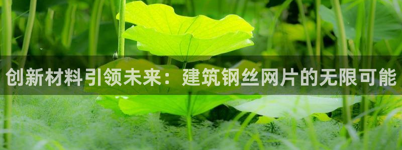 谈球吧体育app下载足球比赛视频