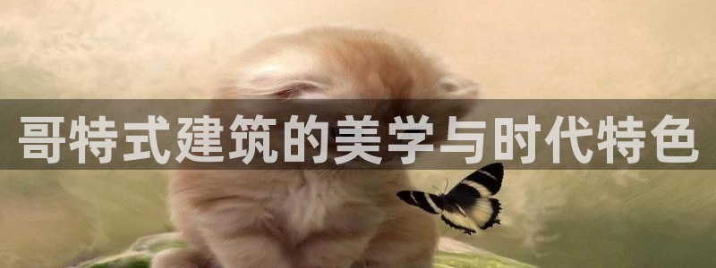 谈球吧官网在线入口手机版免费下载