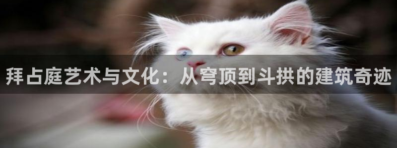 谈球吧体育官方入口