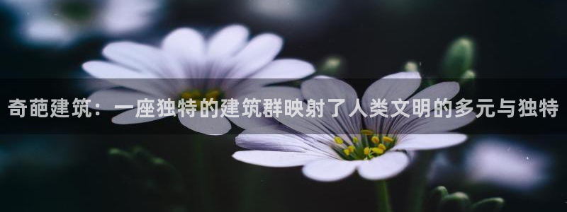 谈球吧登录地址