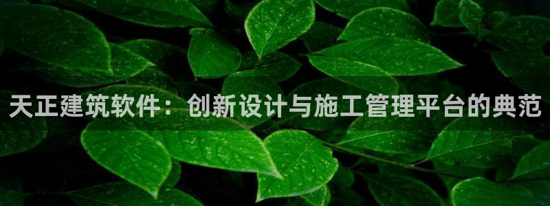 谈球吧体育app下载