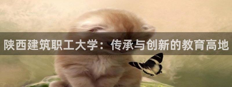 谈球吧的聊天软件