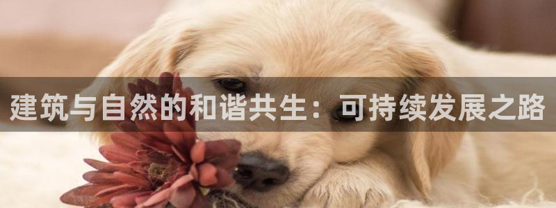 谈球吧体育app下载