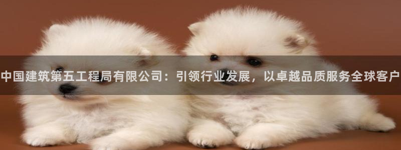 谈球吧app赛事分析在哪里看