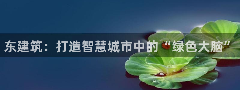 谈球吧平台正规吗可信吗安全吗