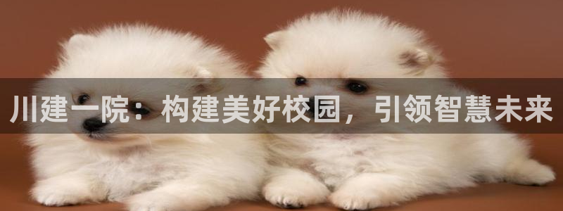 谈球吧体育app下载官网手机版