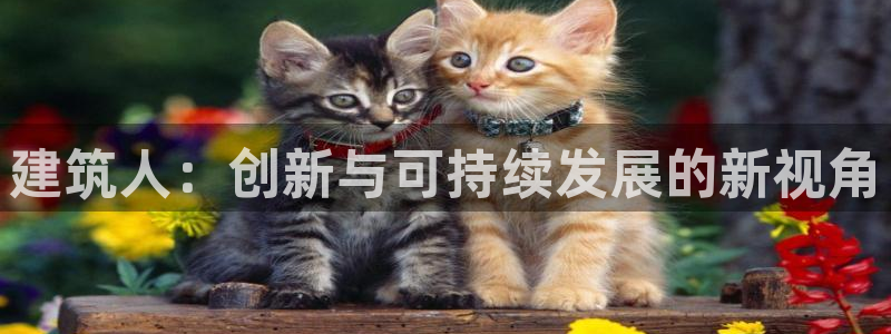 谈球吧中国官方网站