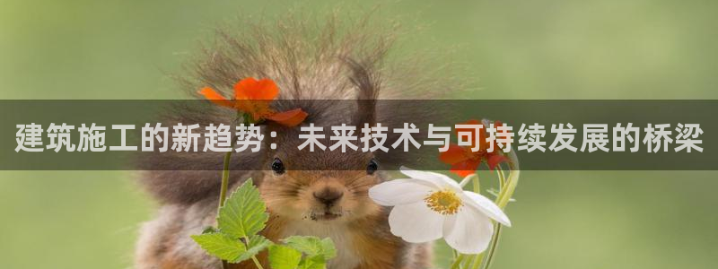 谈球吧官网在线入口手机版下载