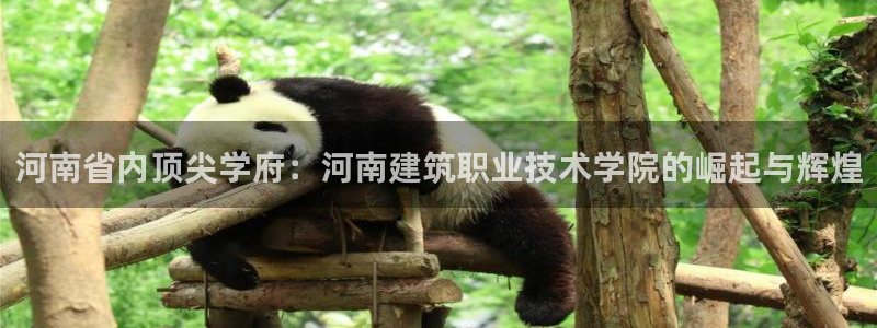 谈球吧最新APP下载