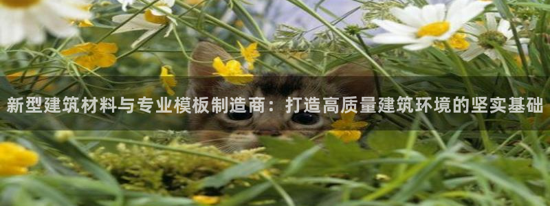 谈球吧app官方下载