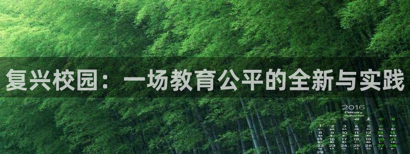 谈球吧网页登录