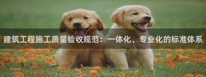 谈球吧是黑台子吗还是白台子好