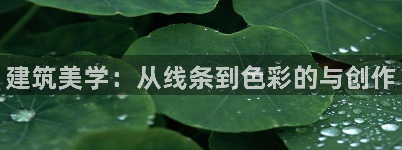 谈球吧的聊天软件叫什么