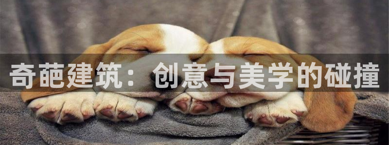 谈球吧app赛事分析报告模板