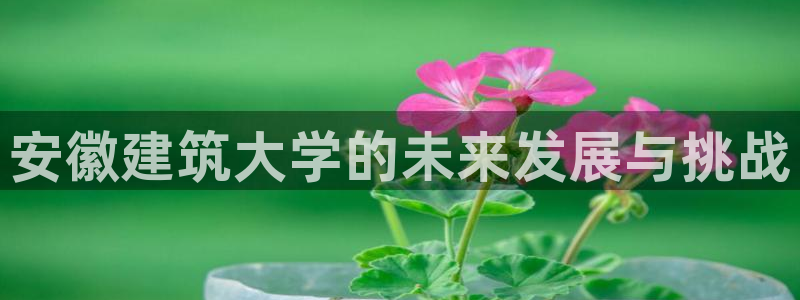 谈球吧官网提款不了