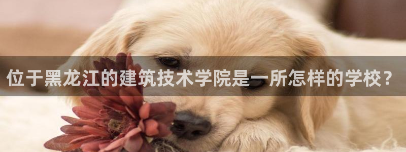 谈球吧体育综合