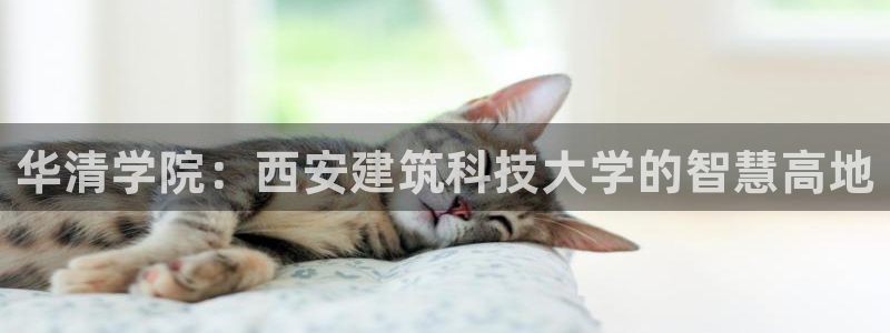 谈球吧体育app登陆