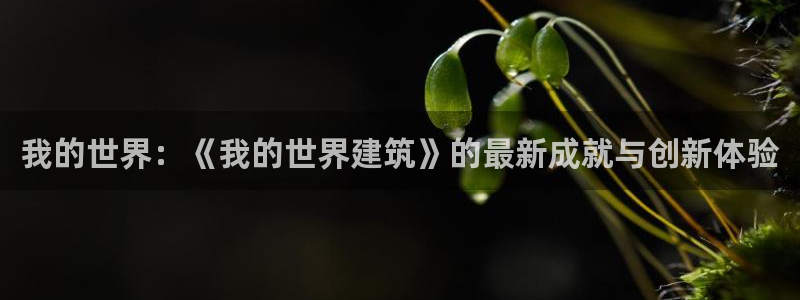 谈球吧体育app下载足球