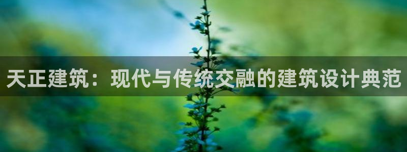 谈球吧是黑台子吗还是白台子