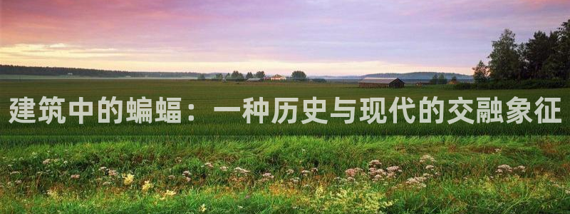 谈球吧app赛事分析在哪里看