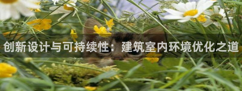 谈球吧能提现不