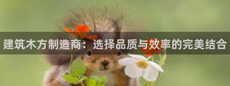 谈球吧官网入口在线观看