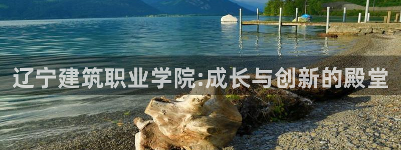 谈球吧在线观看