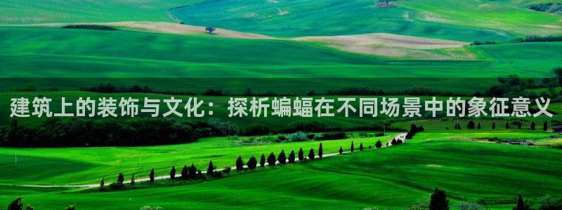 谈球吧官网在线入口免费观看视频