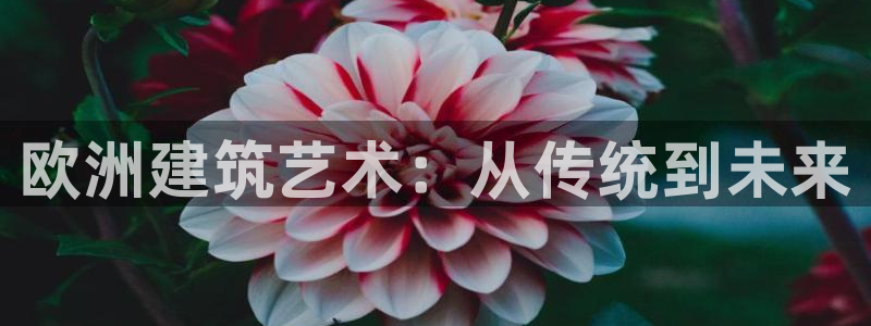 谈球吧-体育赛事