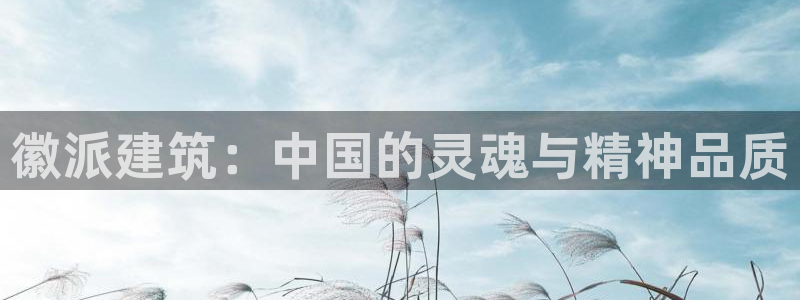 谈球吧官网在线入口手机版下载