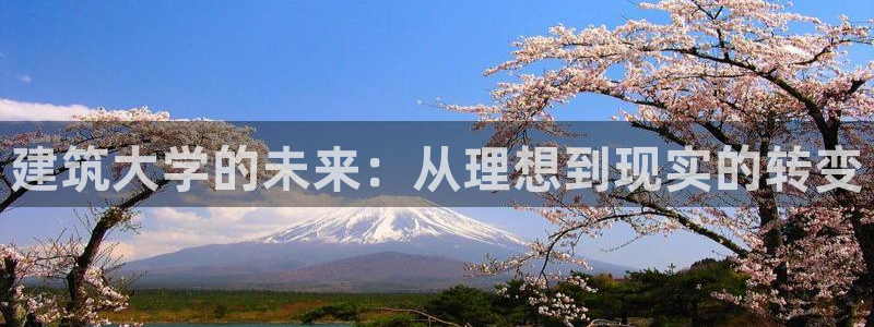 谈球吧与普通平台对比