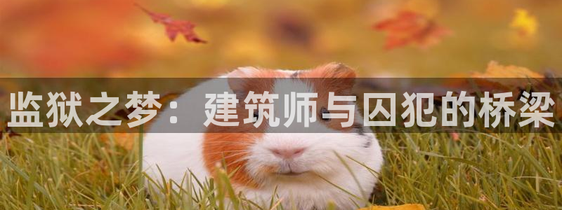 谈球吧官网首页