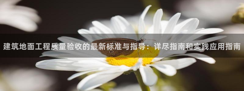谈球吧官网提款不了