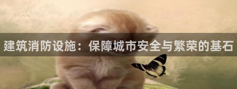 谈球吧是正规平台吗安全吗