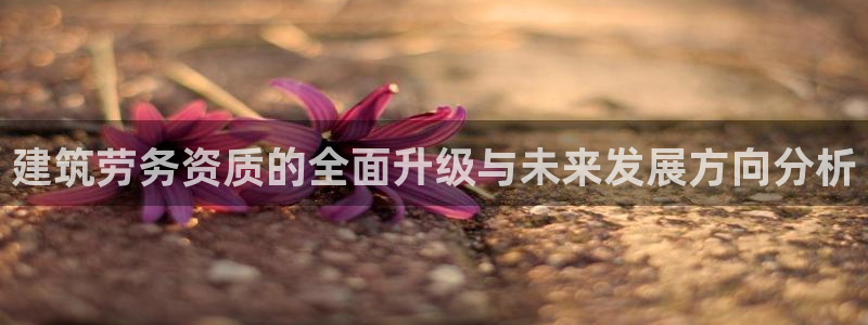 谈球吧体育app下载足球直播软件