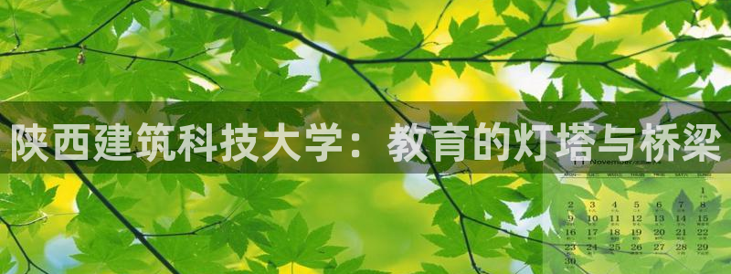 谈球吧体育