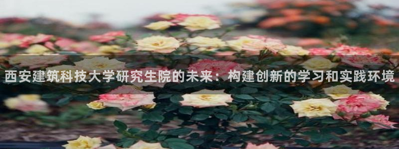 谈球吧能提现不