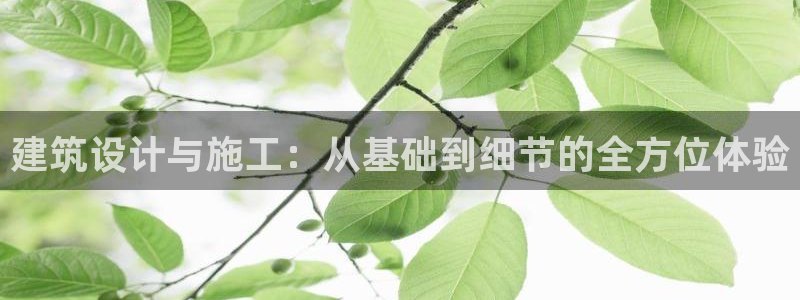 谈球吧官网在线入口网址