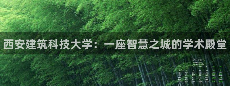 谈球吧官网登录