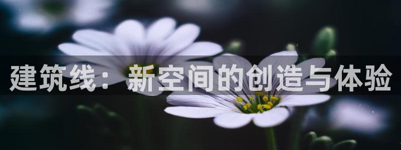 谈球吧综合官网app