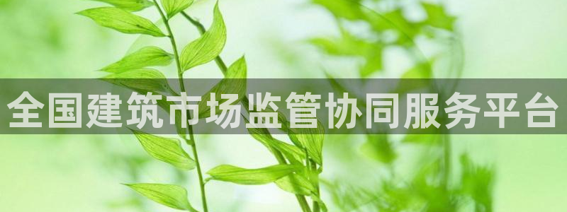 谈球吧app赛事分析在哪里看